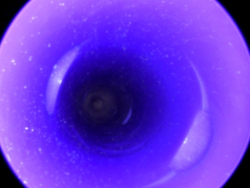 Endoscope Capture with USB Camera