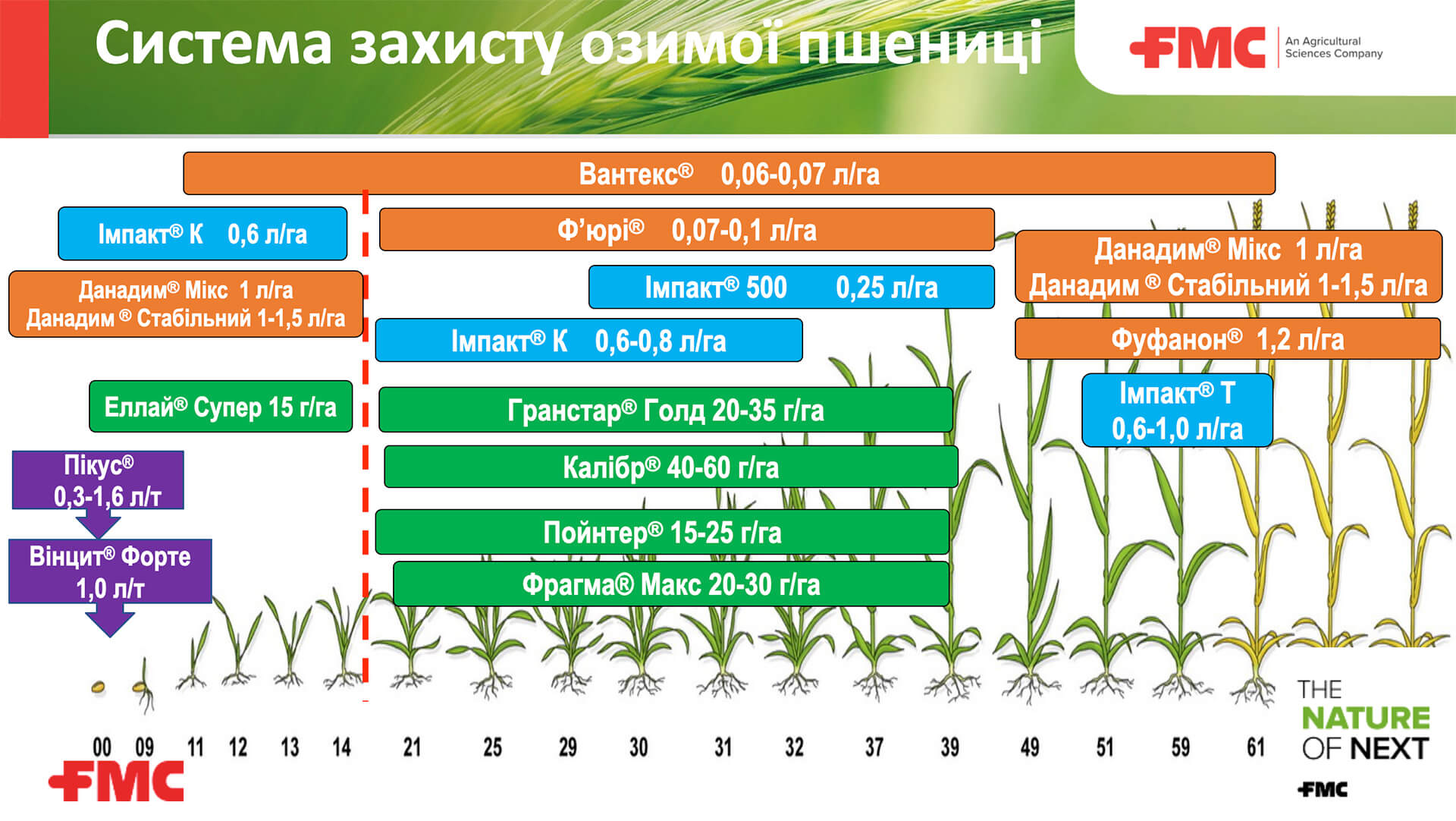 Система захисту озимої пшениці