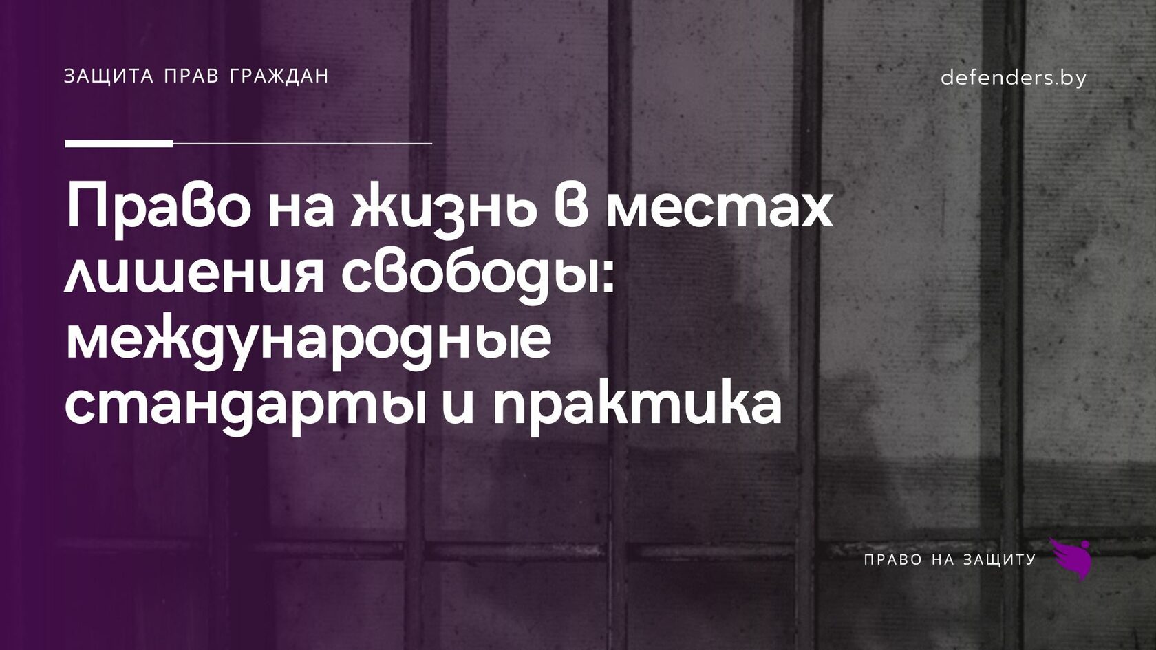 Право на жизнь в местах лишения свободы: международные стандарты и практика