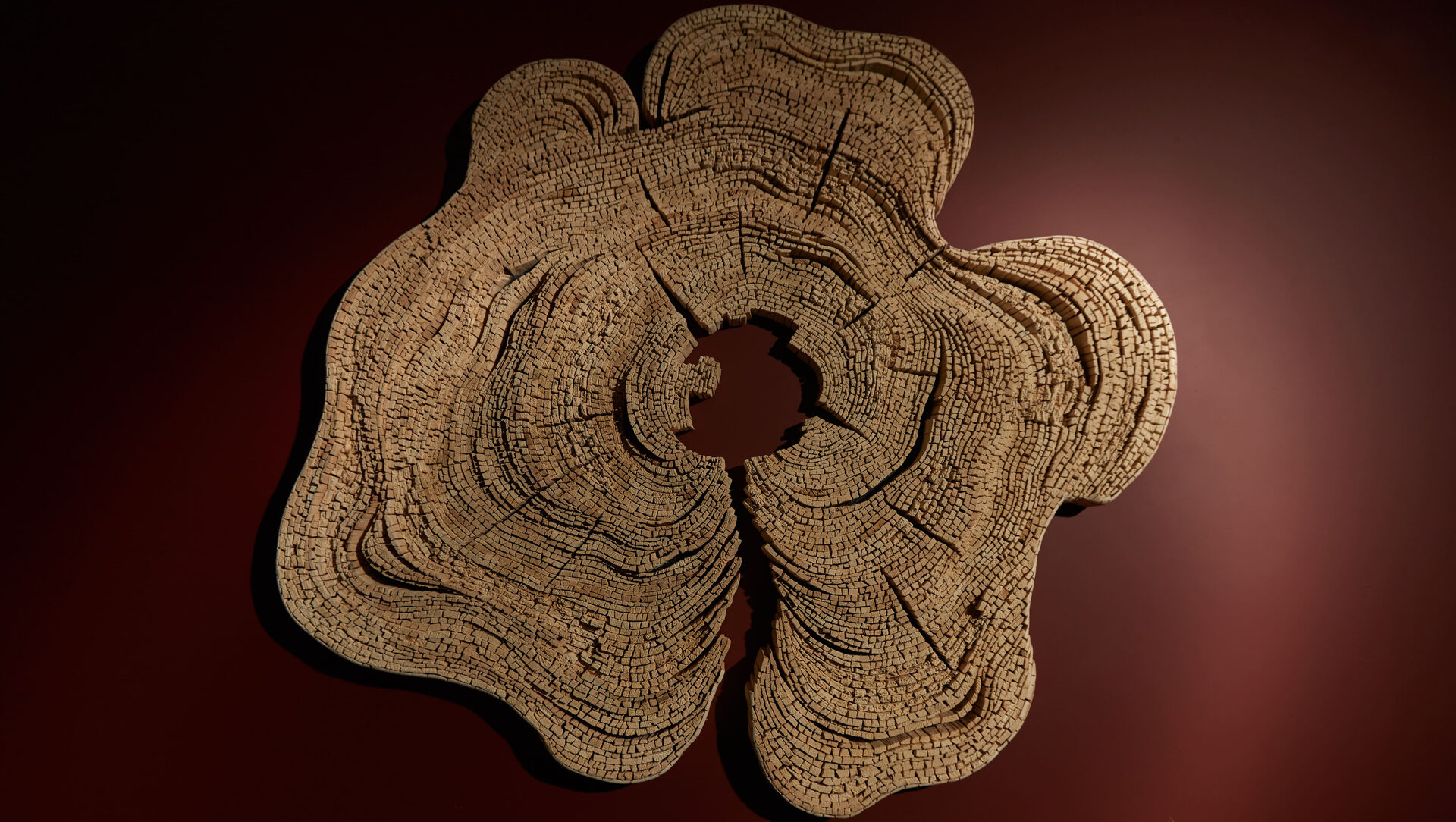 Wood Wall Decor by Tor Design - Nature Influence work: Rays of the three