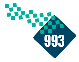 993 taxi logo