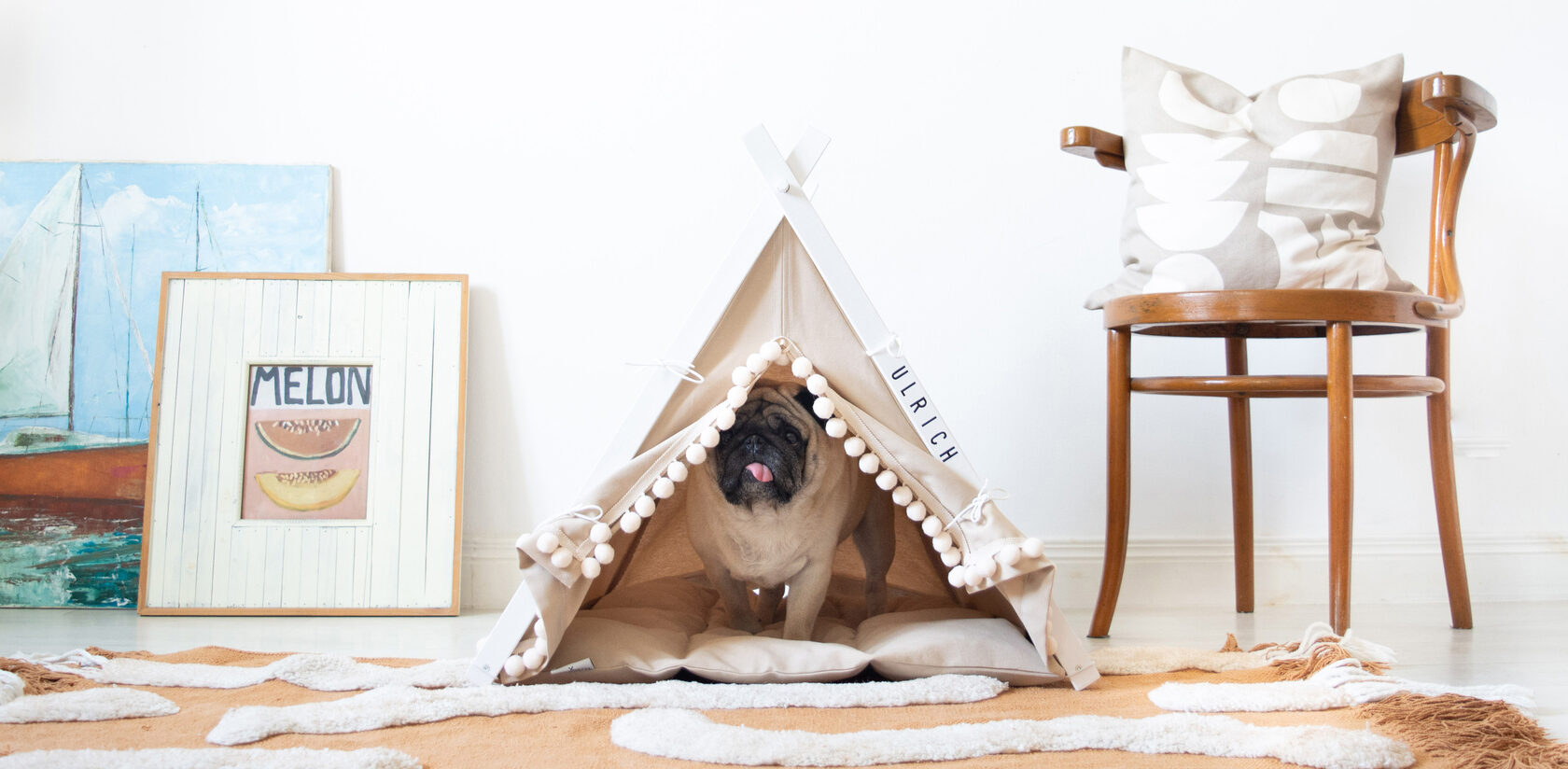 Boho Collection | Dog And Teepee