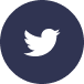 website icon
