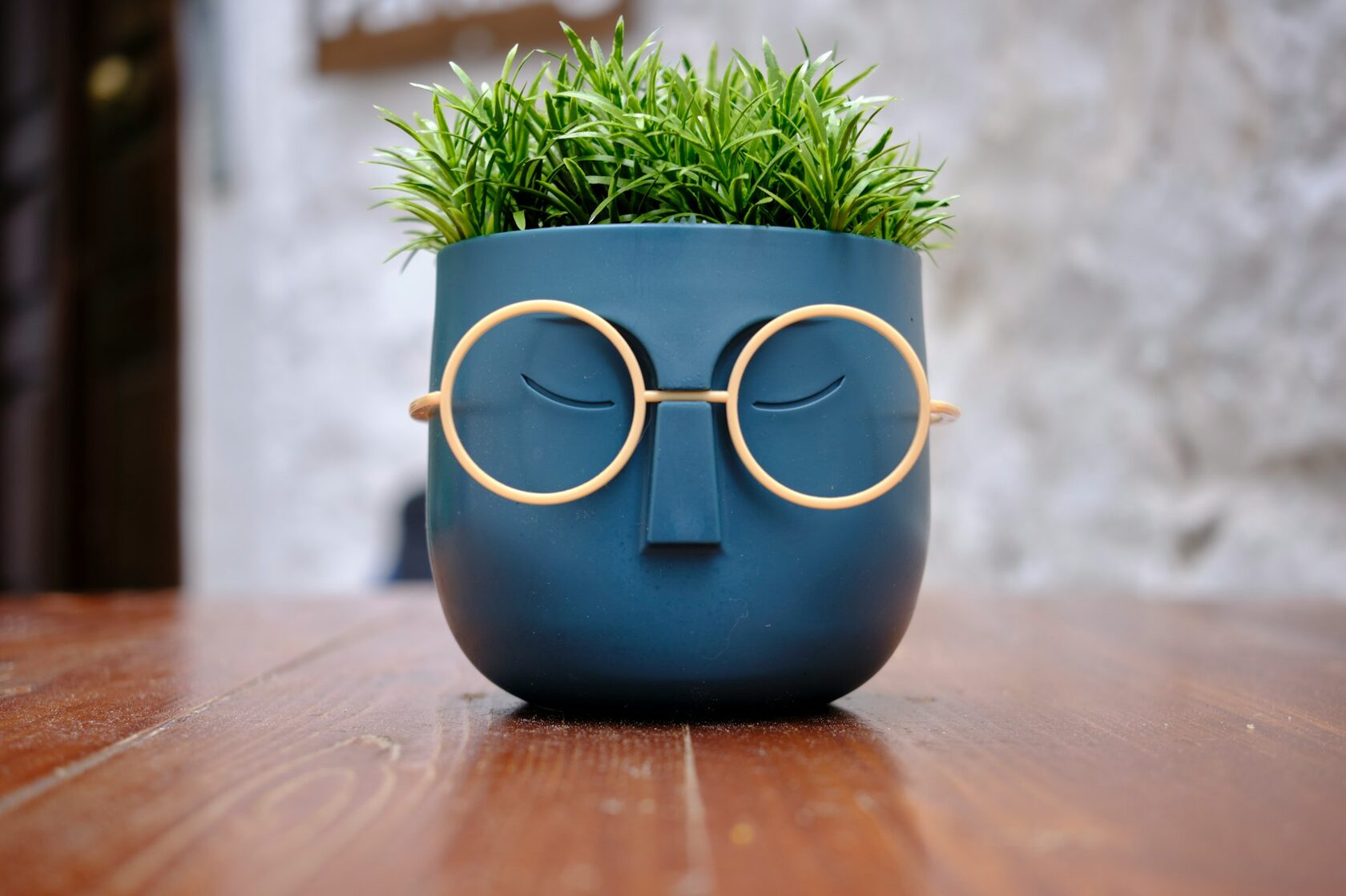 Plant Pot alt