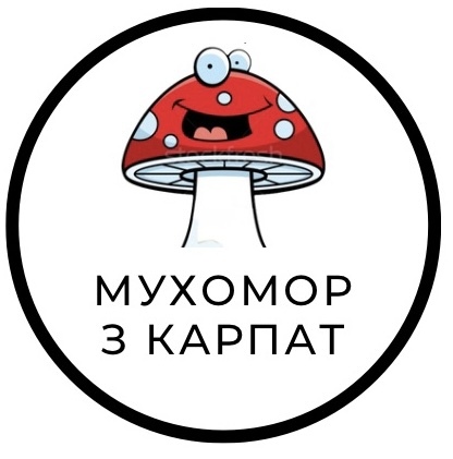 Мухомор червоний купити - Мухомор з карпат - Сушений мухомор - Мікродрзинг