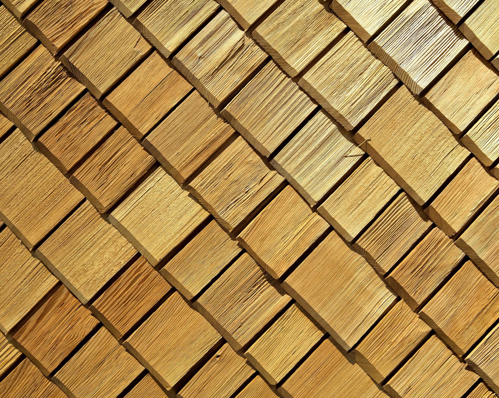 Bambuk panel