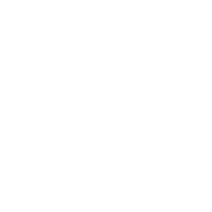 website icon