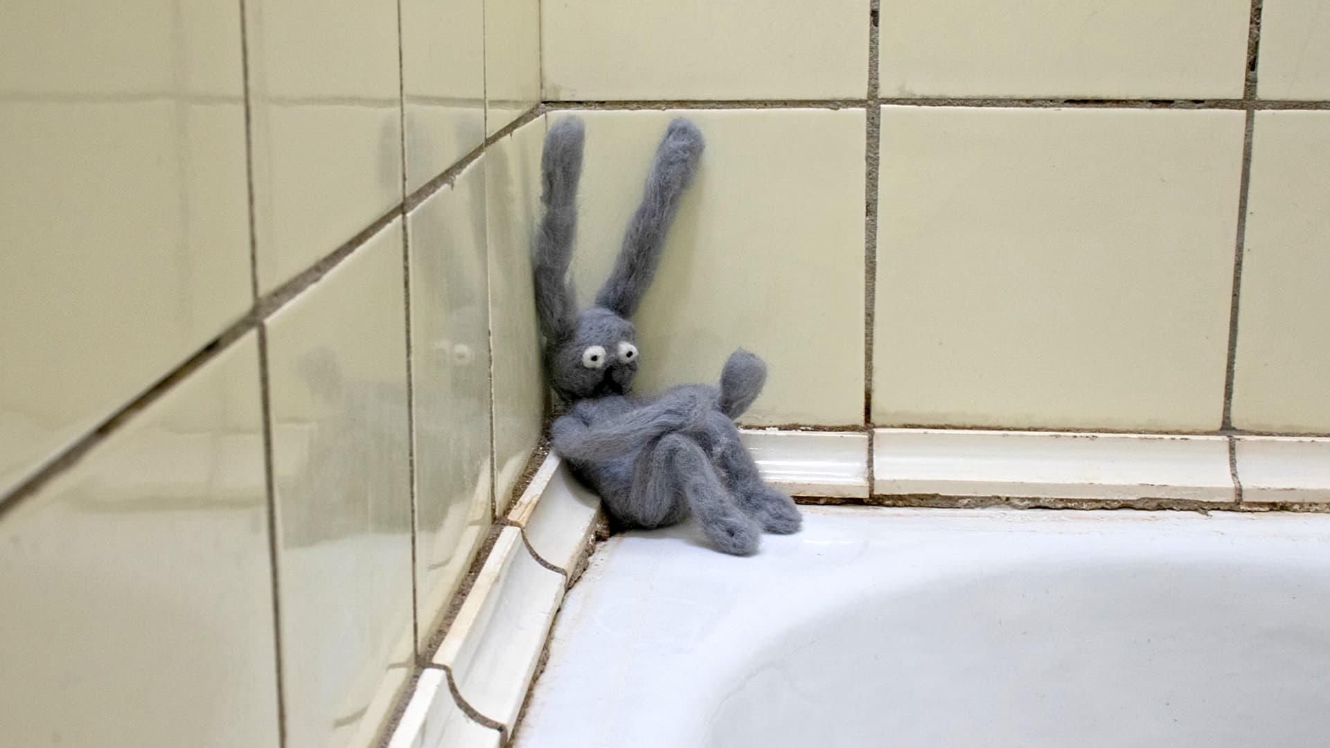 Аня Фельдман, Looking for love