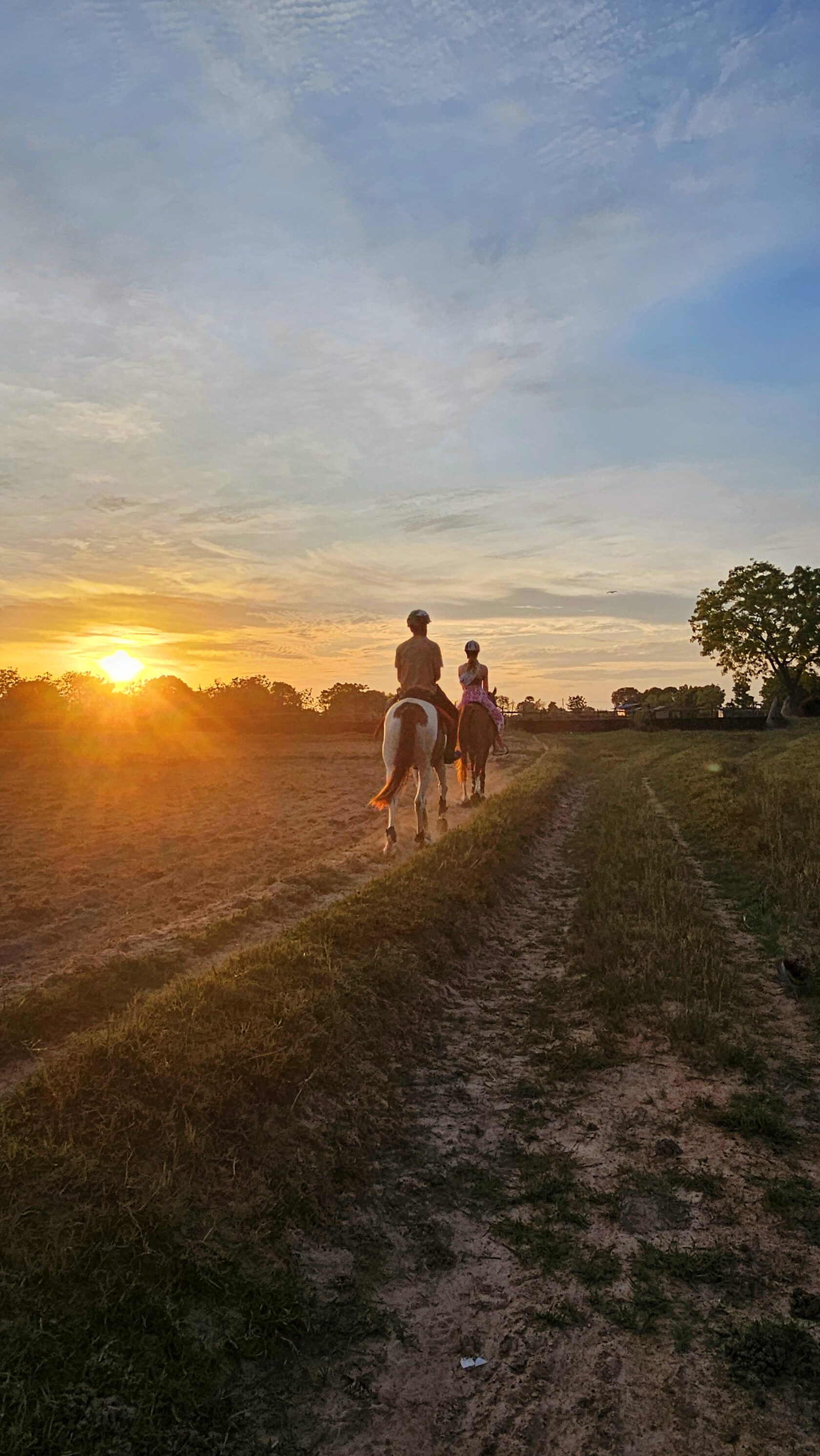 Quiet horsemanship and calm partnership at Vonfidel Ranch