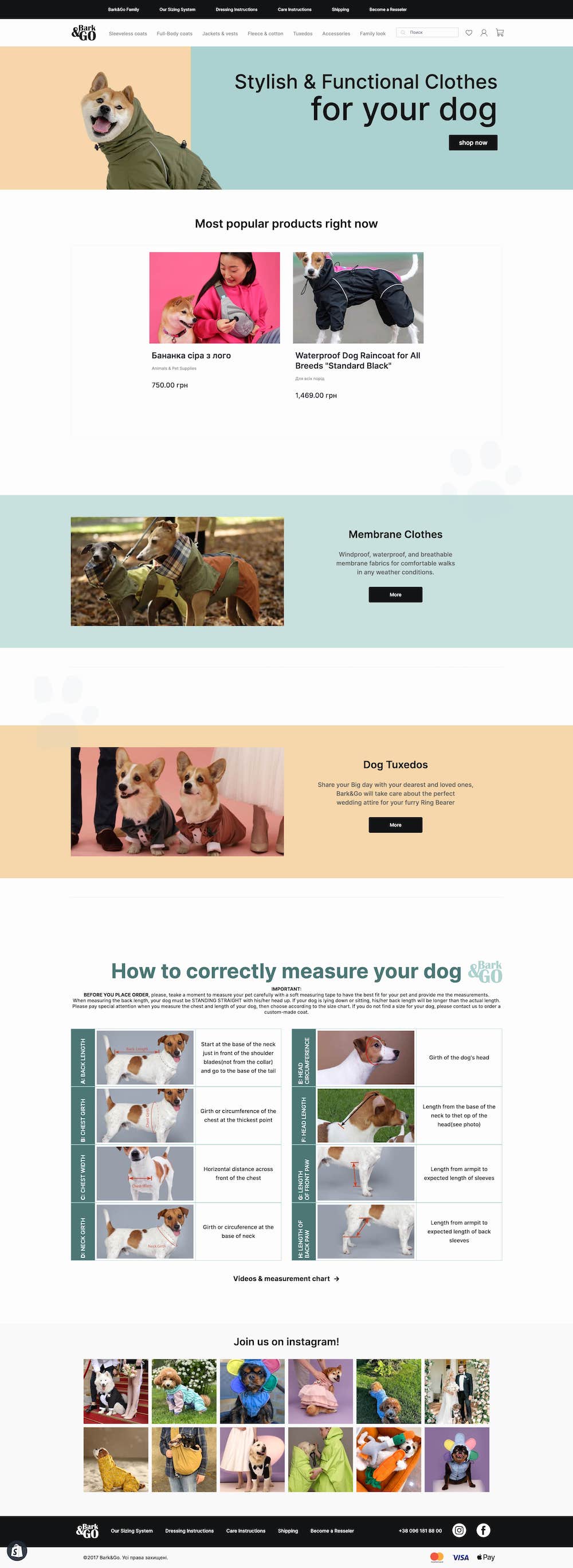 tetralab case jimmisays brand book printscreen