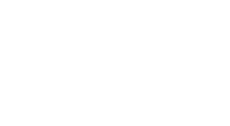 4Life США