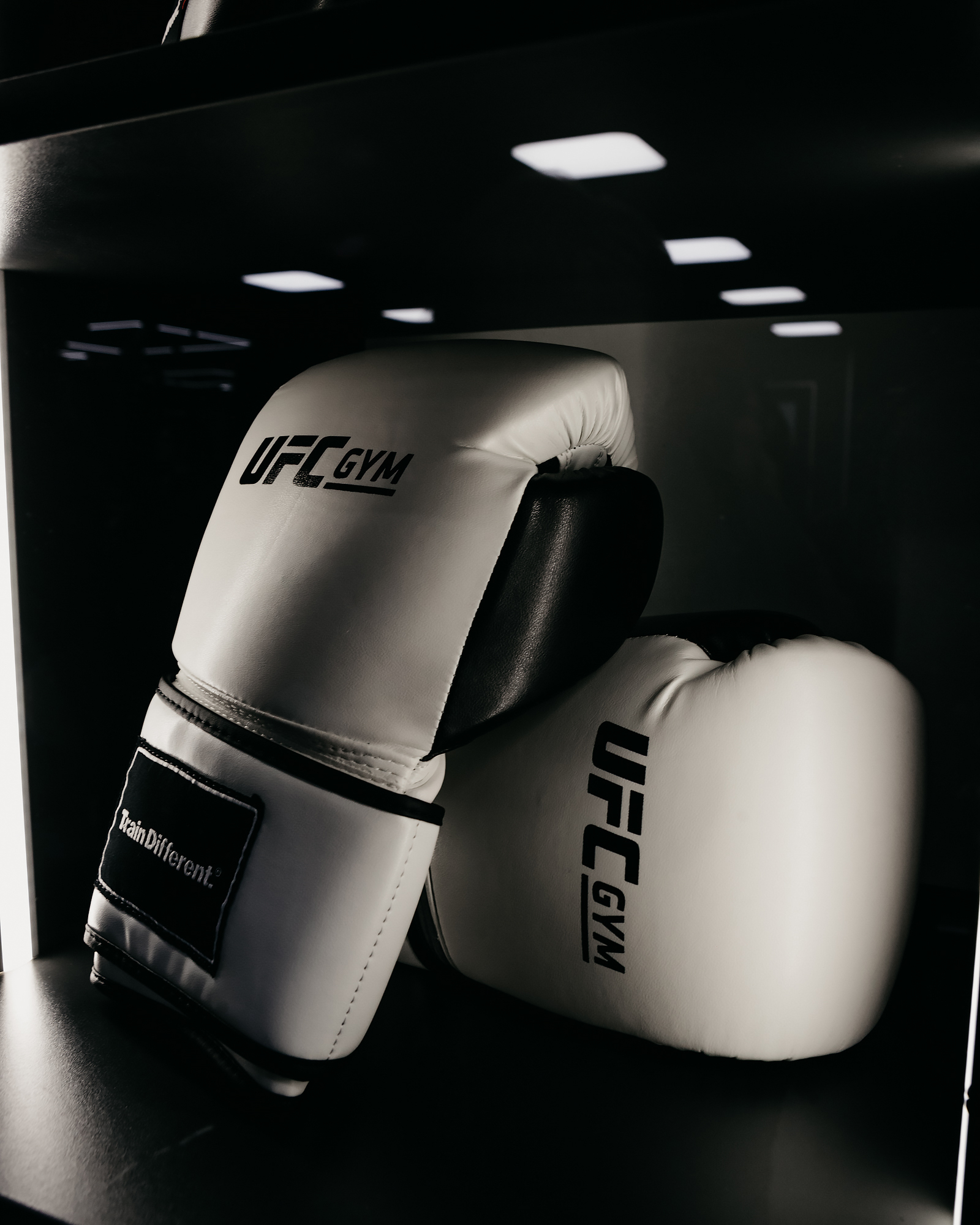 ����������� + ������� ������: ����.