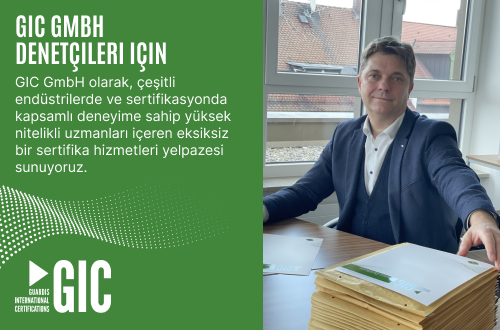 GIC GmbH denetçileri için