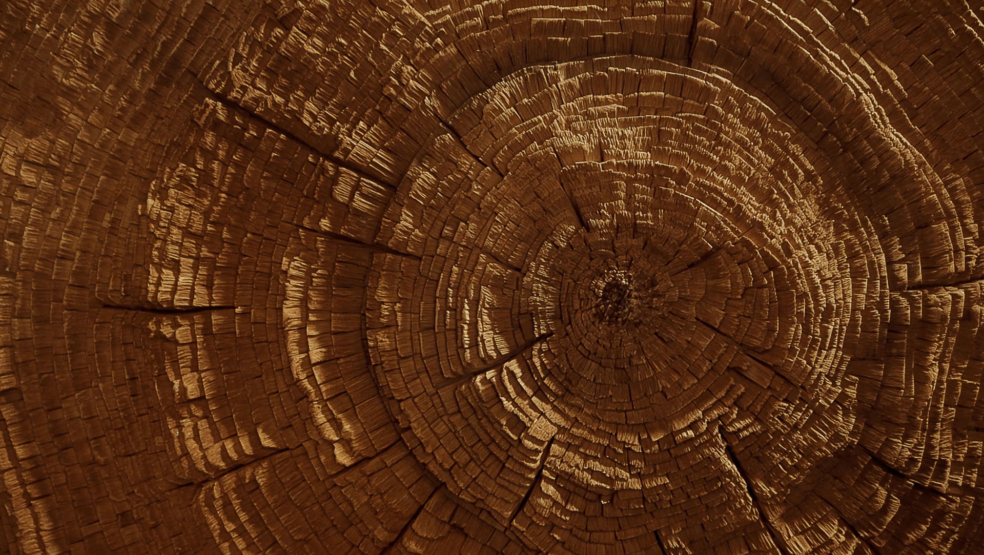 Wood Sculpture Design by Tor Design Studio - Mi Piace