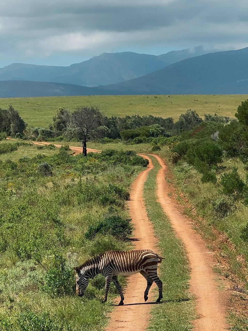 Padel camp Capetown 4