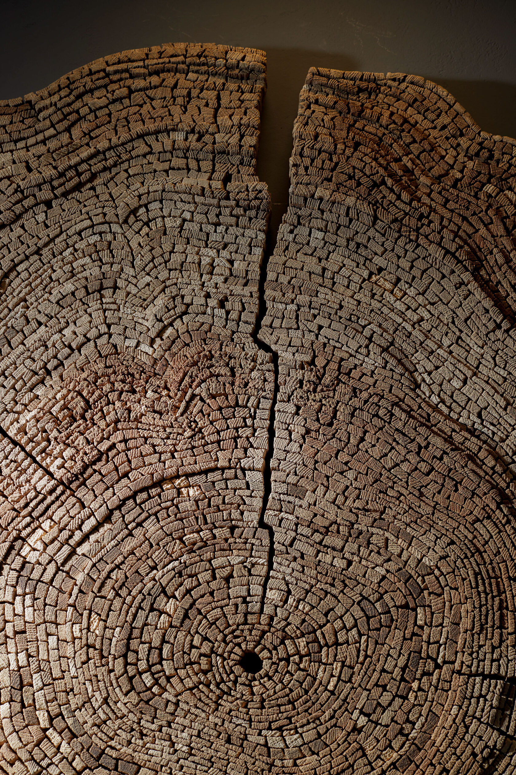 Wooden Artwork Dandelion by Tor Design