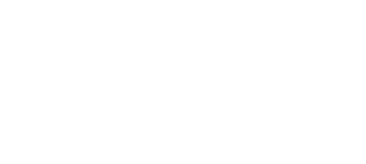  RMS GLOBAL INVESTMENTS 