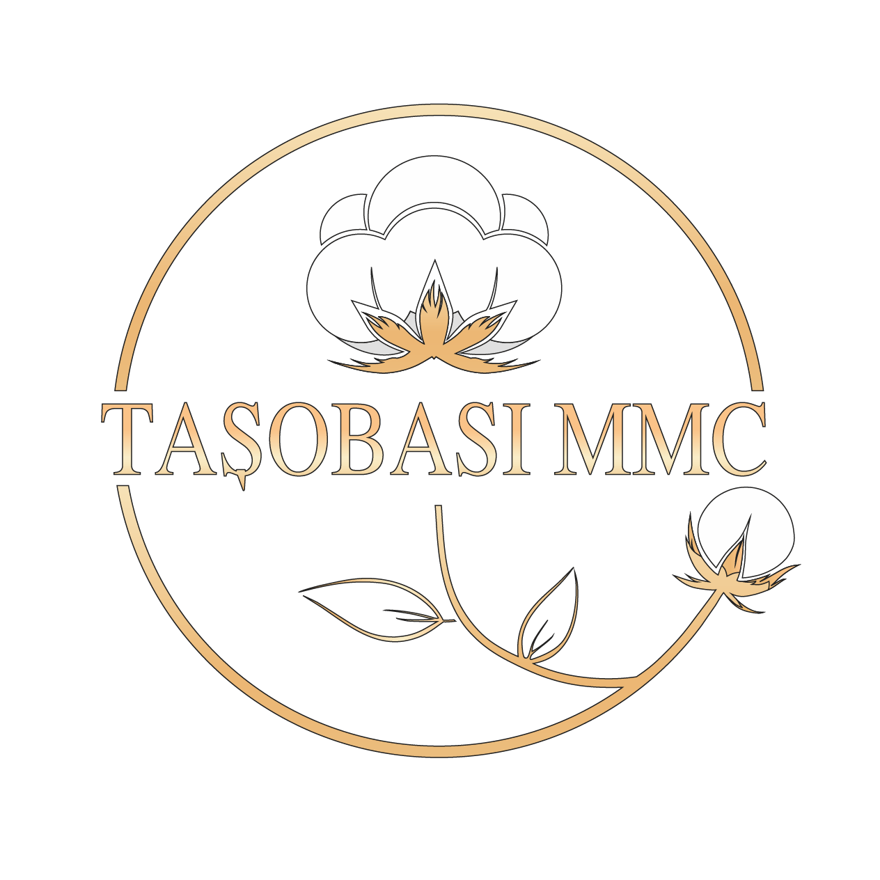 TAŞOBASI