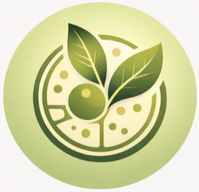  Здоровье через понимание 