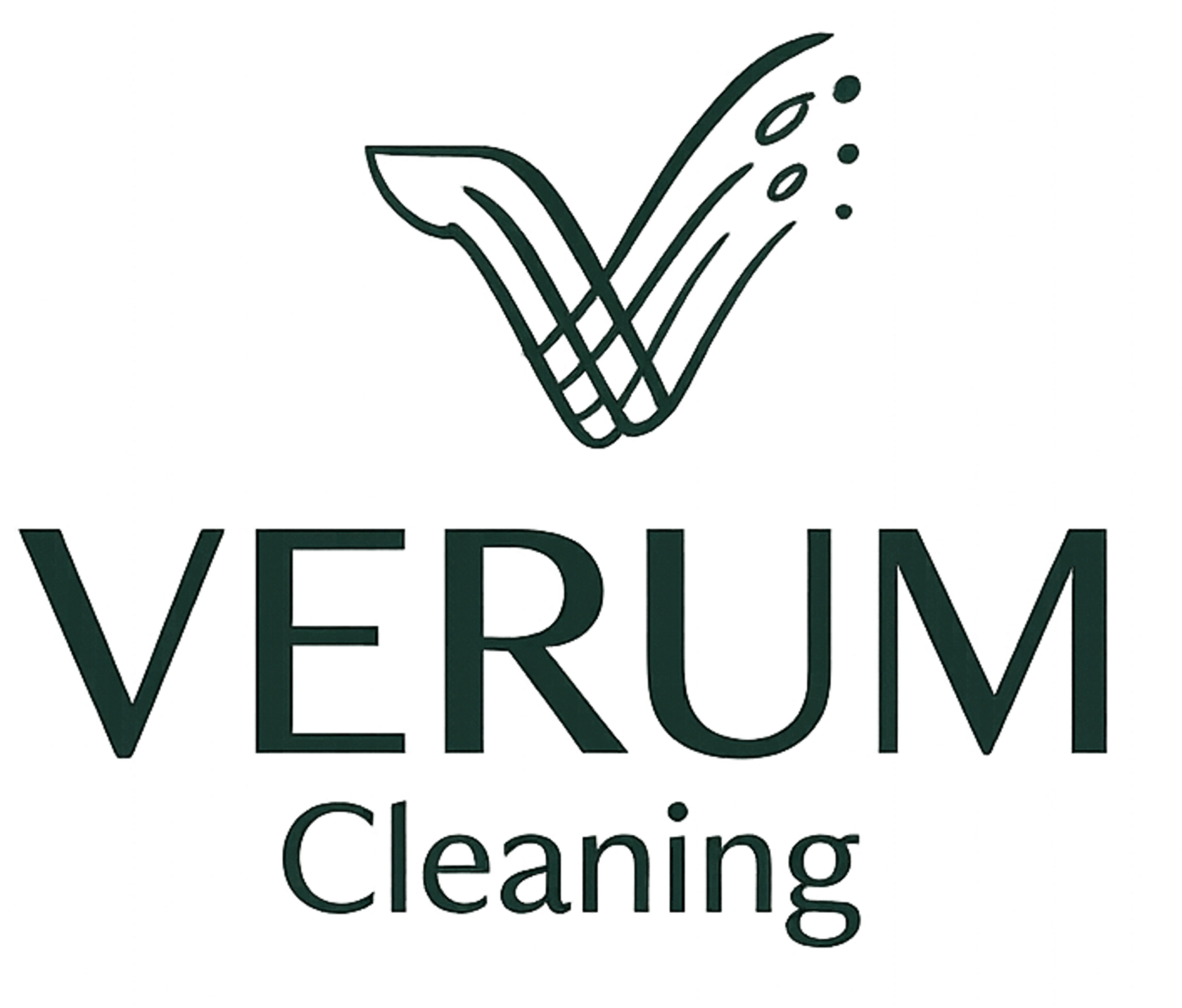Verum Cleaning