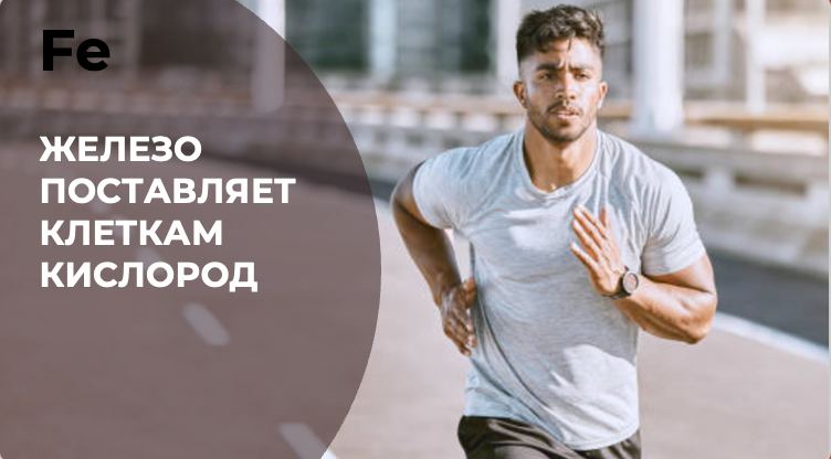 ЖЕЛЕЗО ПОСТАВЛЯЕТ КЛЕТКАМ КИСЛОРОД 