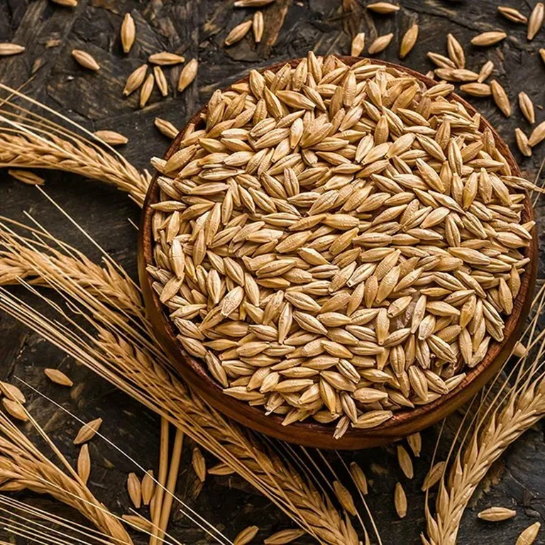 barley