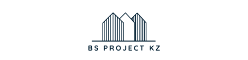 BS PROJECT KZ