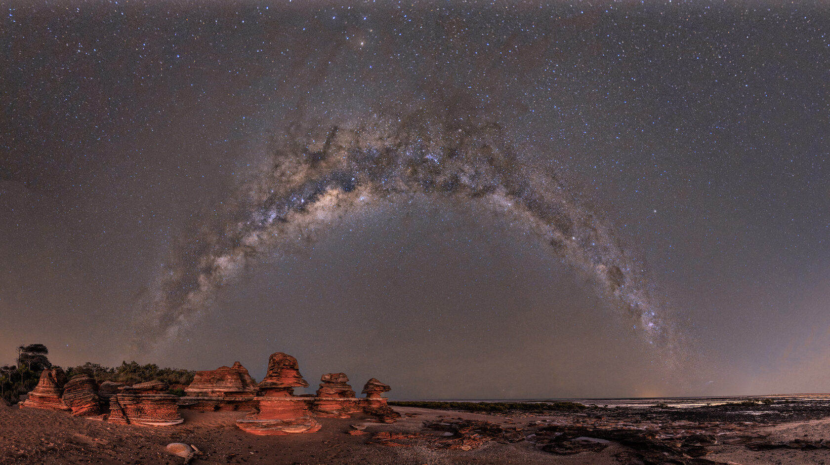 Portraits Under the Stars
