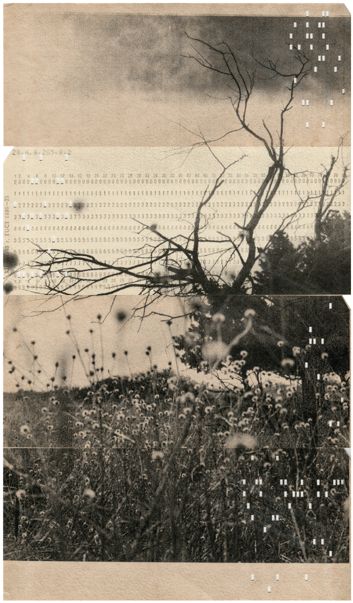 Таня Бронникова, A map in case you get lost