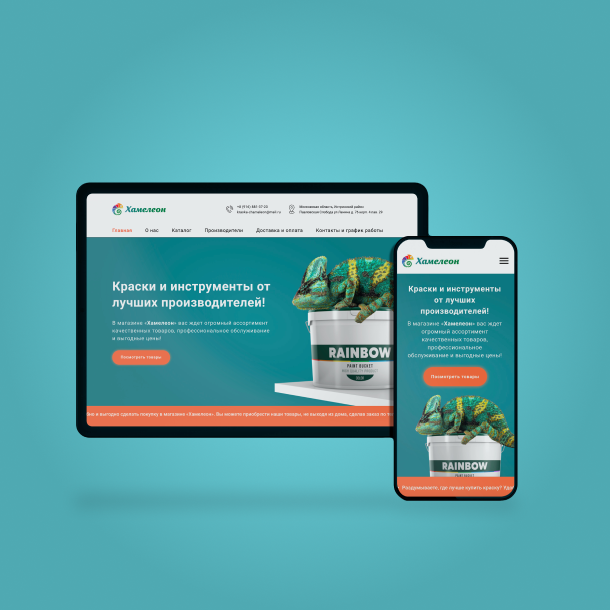 "Chameleon"- a professional paint shop website and logo designed by Yugen Branding
