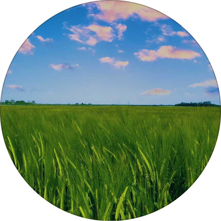 Созонівський