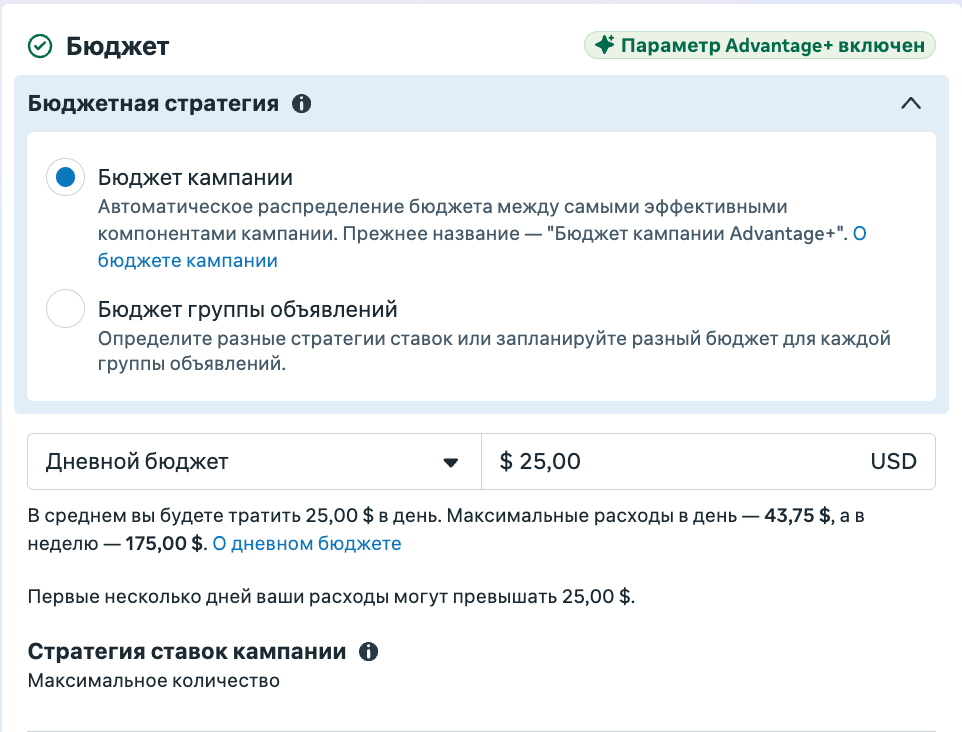Раздел бюджета в Meta Ads Manager: переключатель между бюджетом кампании и бюджетом группы объявлений, выбран дневной бюджет
