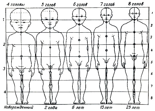 Как выглядит фигура в зависимости от роста и веса: фото женщин с разными параметрами