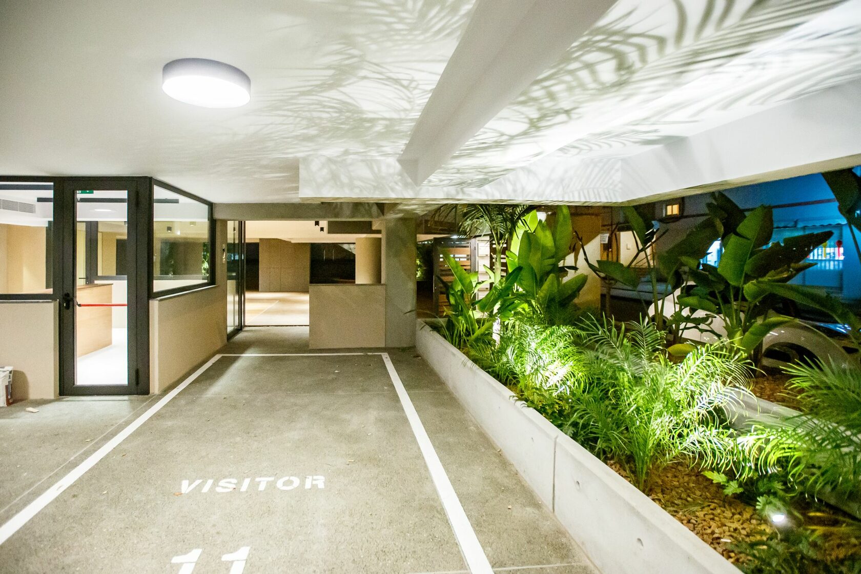 תמונת פרויקט