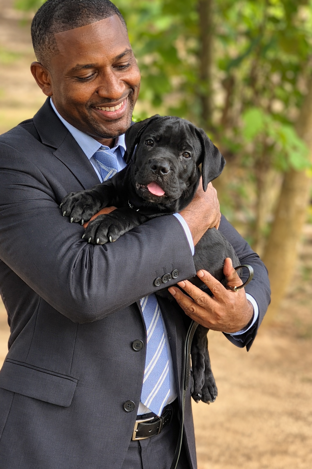 Professional puppy socialisation and basic obedience training conducted calmly by an experienced handler