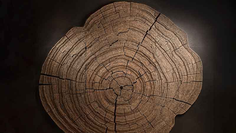 Wood Wall Decor Exclusive Project for Modern Home Collection, Nature-Inspired Art Handcrafted by Tor Design.