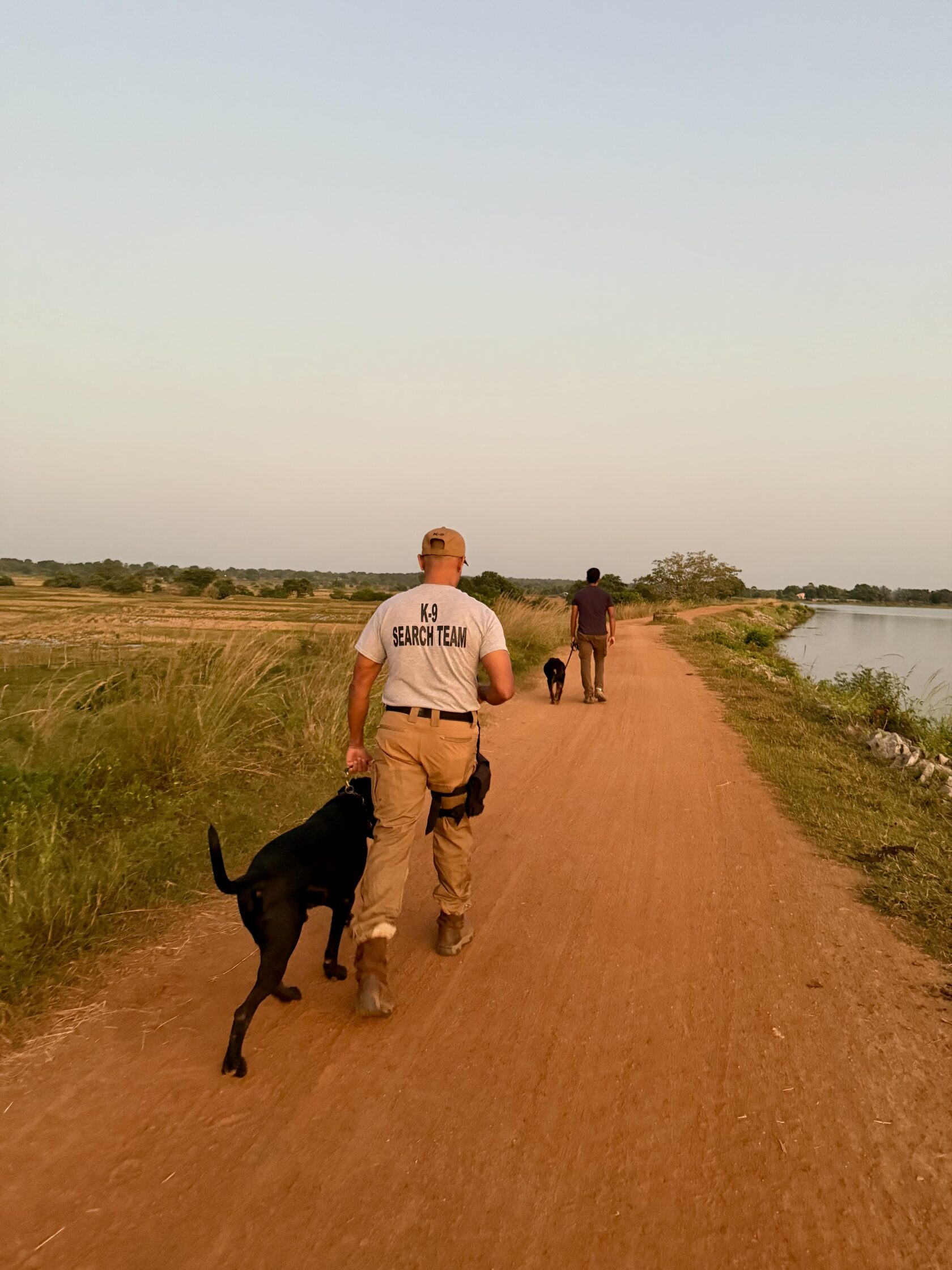VONFIDEL K9 search team walking dogs during field-based working dog training