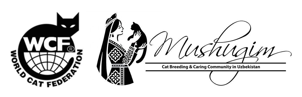 Mushugim cat club in Uzbekistan WCF UZ- 0403