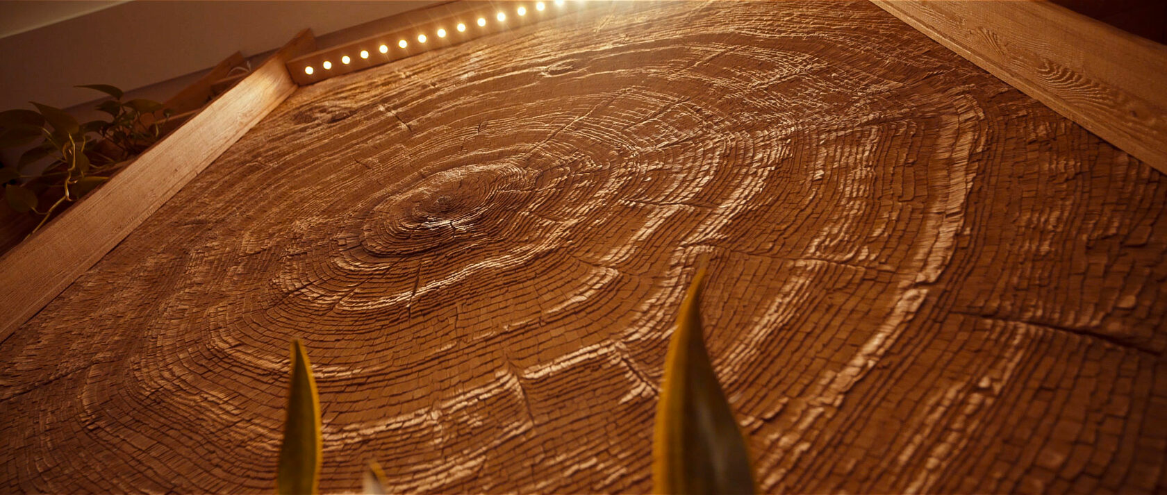 Nature Influence Mi Piace by Tor Design