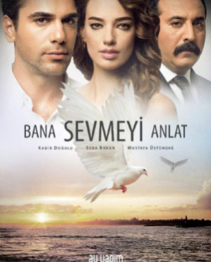 Bana Sevmeyi Anlat (Wings of Love)