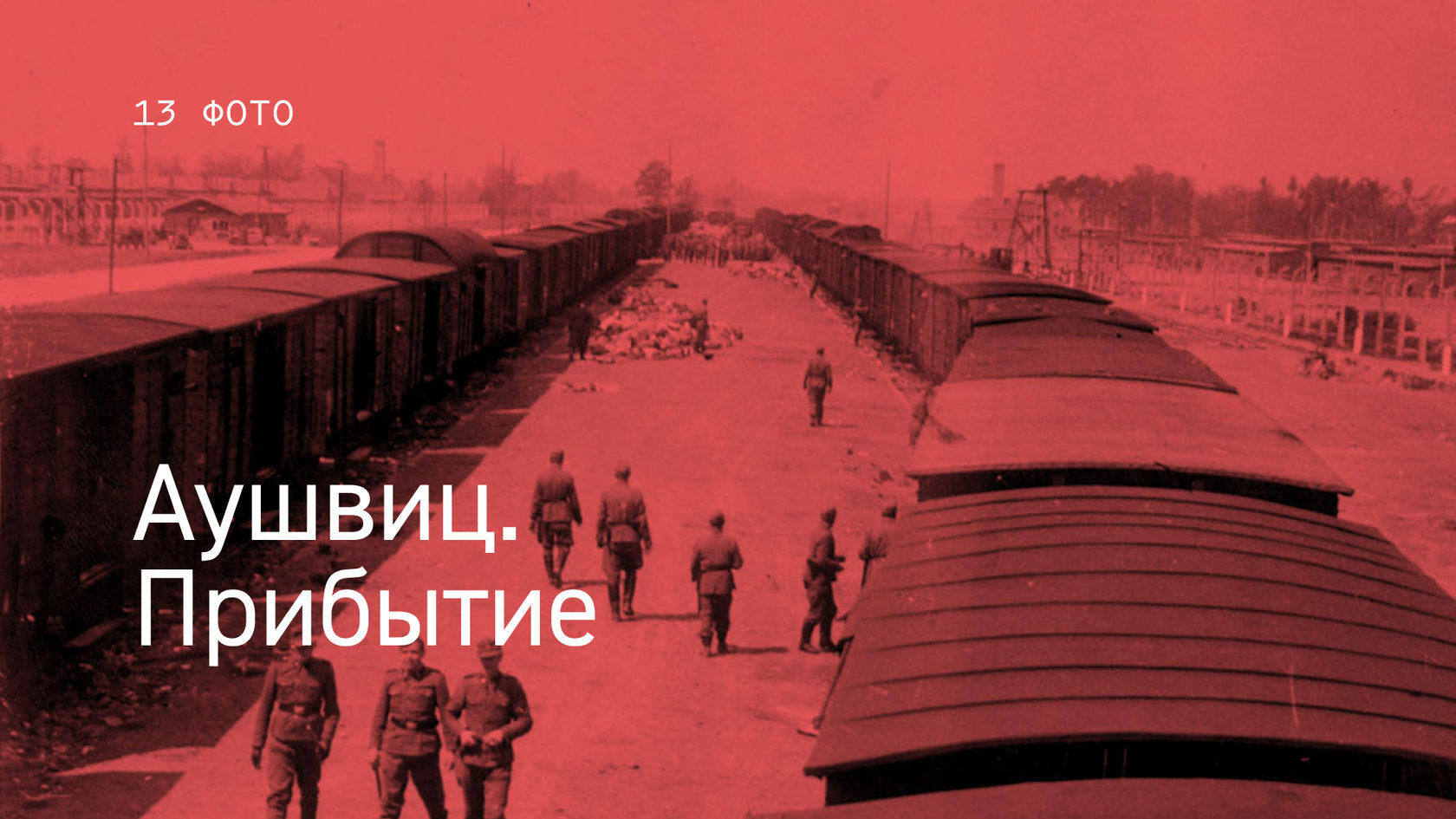 Альбом Аушвиц. Прибытие