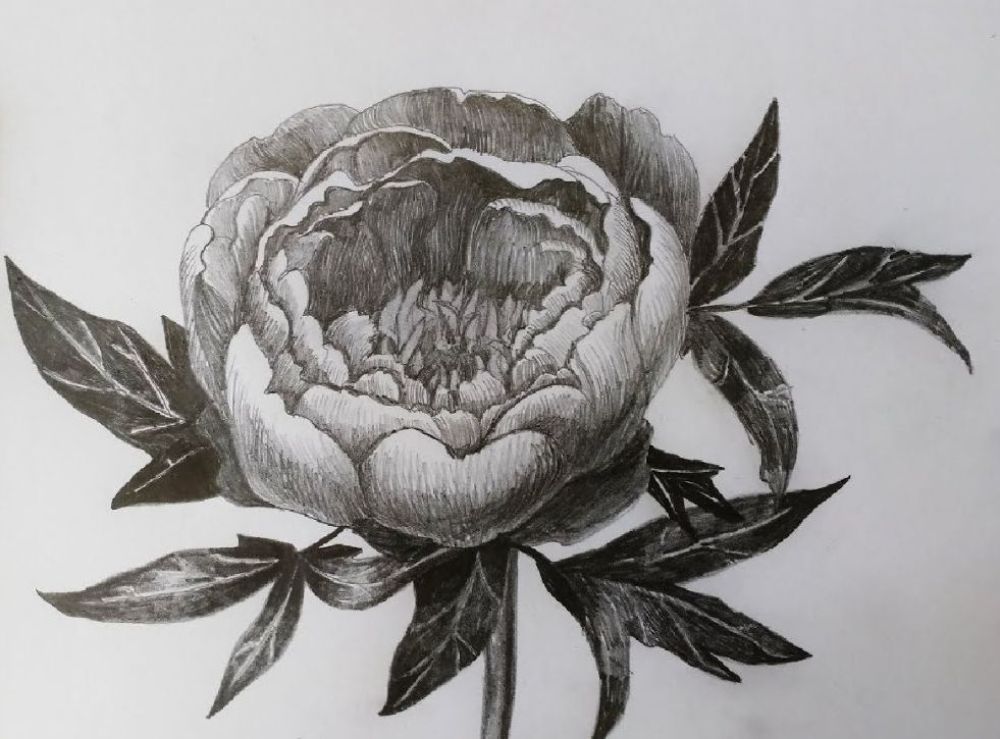 Пион