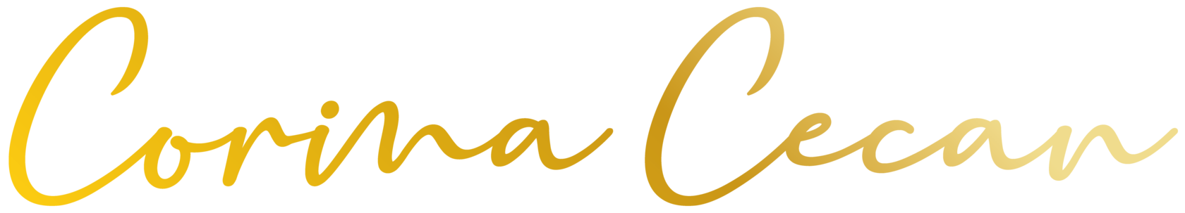 Company name