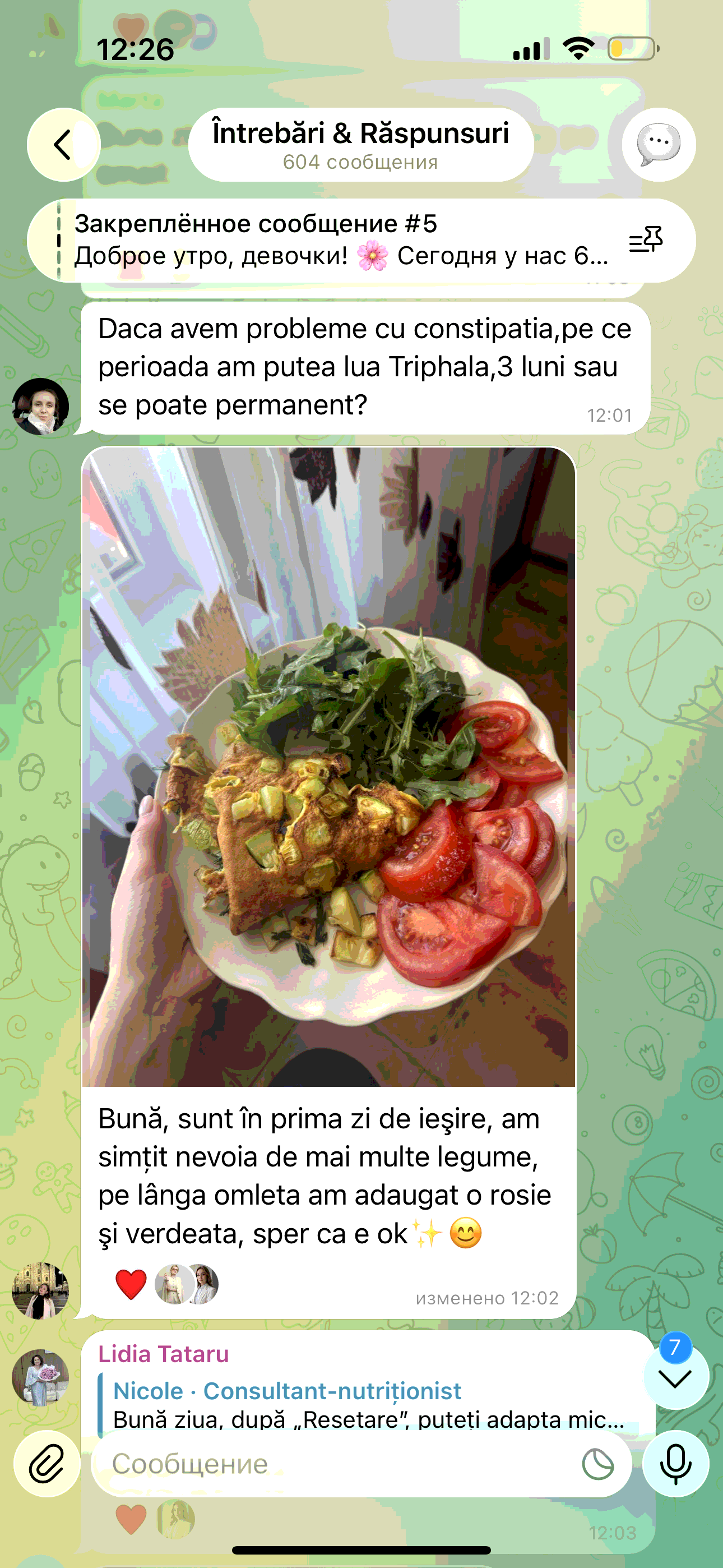 Mancare gatita simplu si gustos