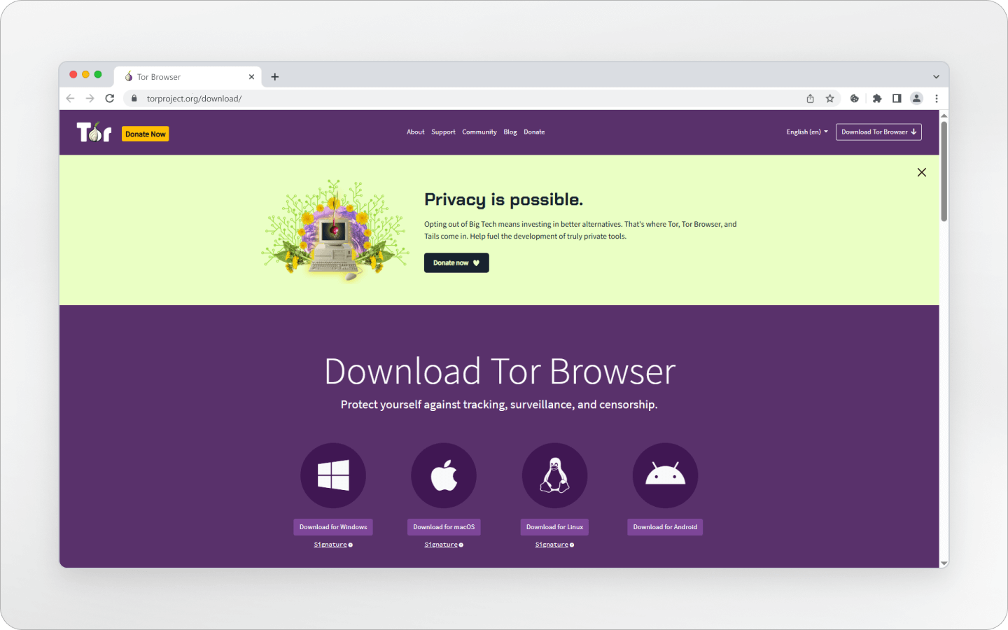 Tor Browser: What and How Safe Is It