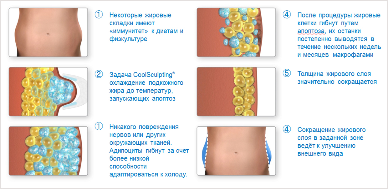 Анальный секс с толстушками и порно с пышками в жопу