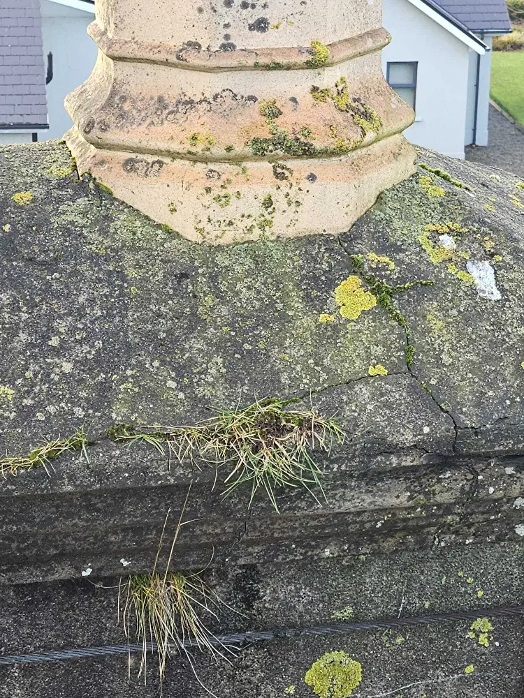 Moss removal