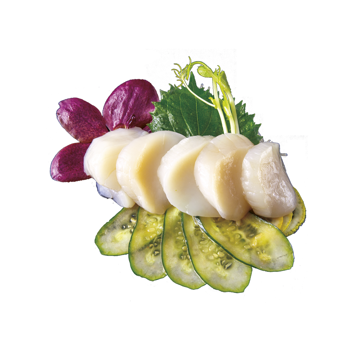 Sashimi Hotate Scallop
