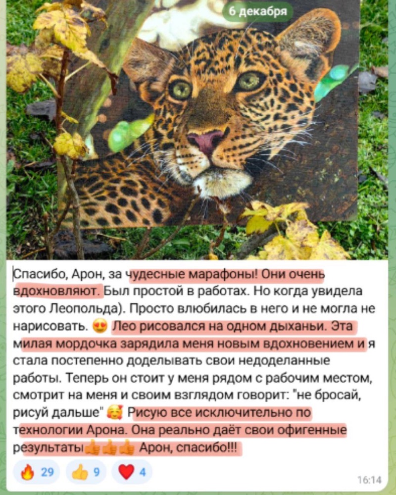 Отзыв ученика — «спасибо, Арон, рисую исключительно по технологии Арона»