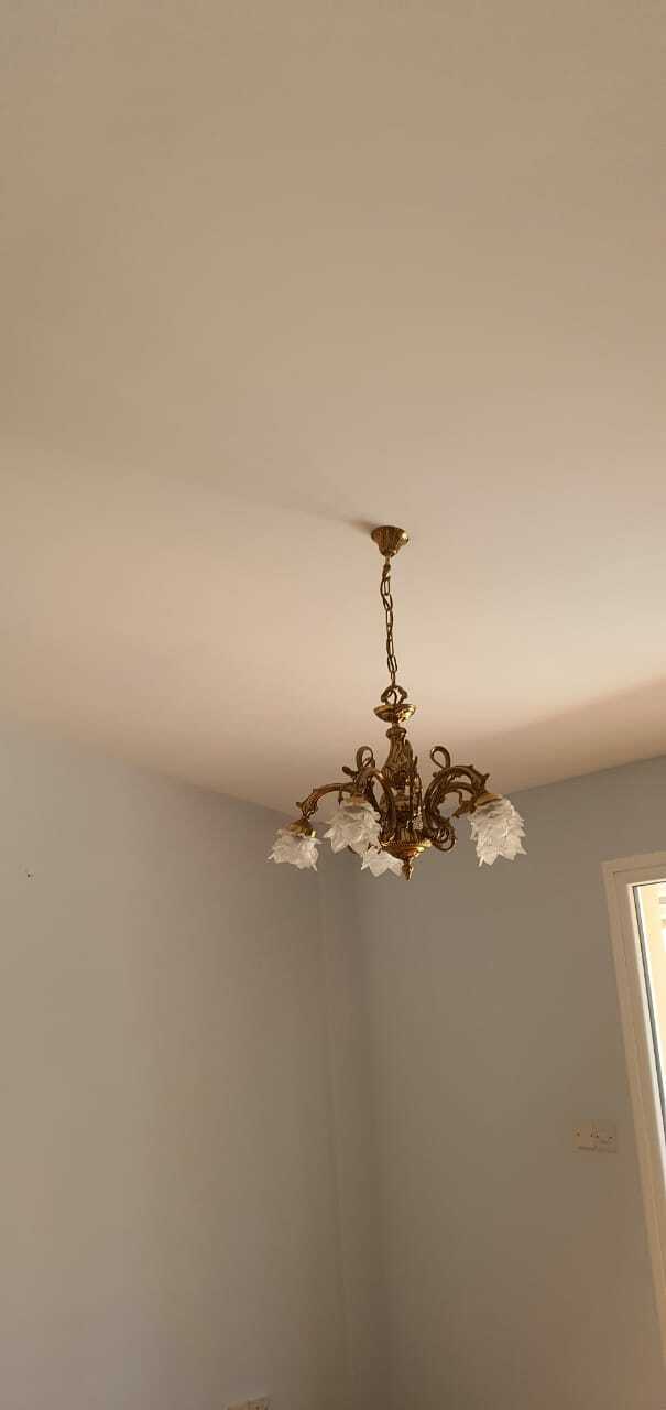 תמונת פרויקט